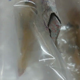 佐賀県呼子のケンサキイカ入荷しました。の画像