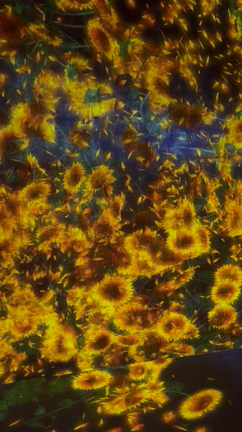 美しいものを見てキレイになろうの記事動画