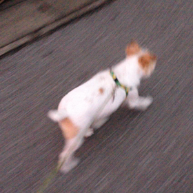 走ってます‼︎の画像
