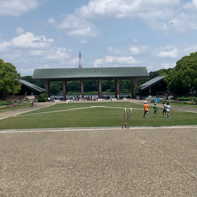 息子くんの自主トレの画像