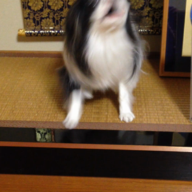 寒いの画像
