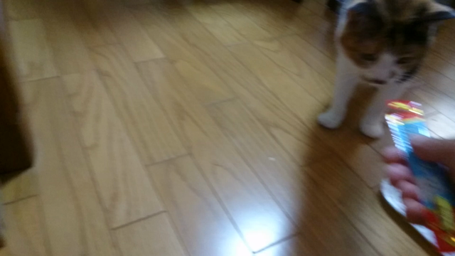 偏食(ーー;)の記事動画