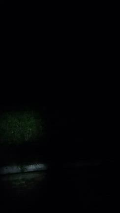 かえるのうた？の記事動画
