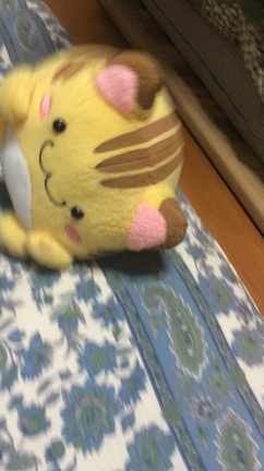 横飛びねこの記事動画