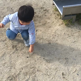 どんどん成長するねの画像