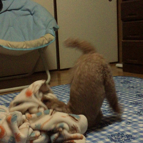 忘れましたの画像