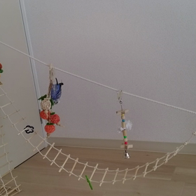 口ぐせの画像