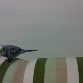 ソファーの画像