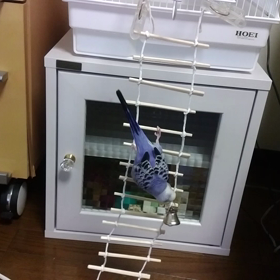 のぼったり降りたりの画像