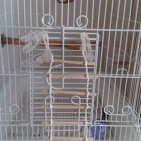 ツルッとの画像