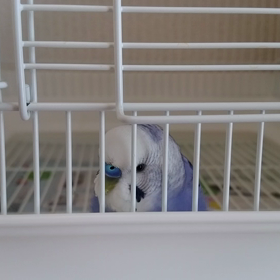 開けてくださいの画像