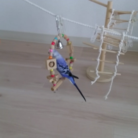やっときたの画像