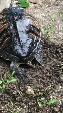 あれ？？？の記事動画