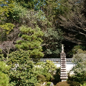 日曜のさえずりの画像