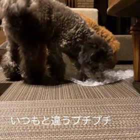 宇野樹君インスタストーリーより　いつもと違うプチプチの画像