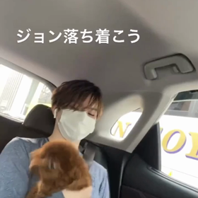 宇野樹君インスタストーリーより　ジョン落ち着こうの画像