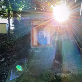 2024/01/11の画像
