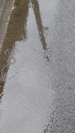 雨の日の記事動画