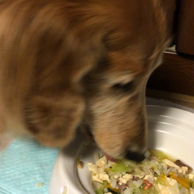 震えるのはなぜかな～？の画像