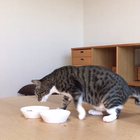 たまに、手で食べたい、きのこの画像