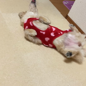 佑音の様子の画像