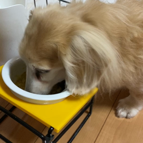 食事の様子の画像
