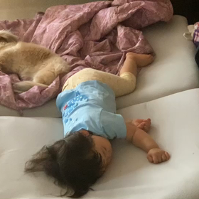 ほのぼの動画の画像