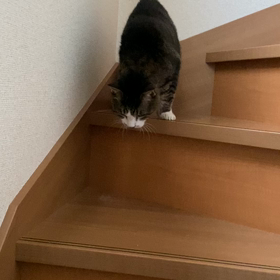 ひめの画像