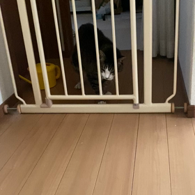 決定的瞬間の画像