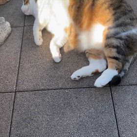 今日の様子の画像