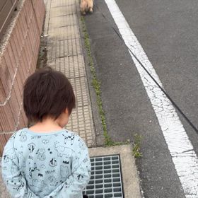 孫の子守りの画像