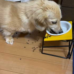 佑音の裏の顔の画像