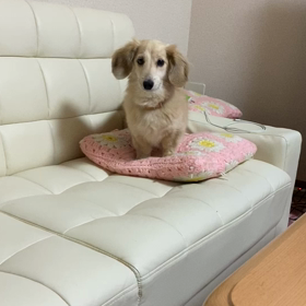 佑音の気持ち  の画像