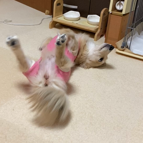 面白い動きの画像