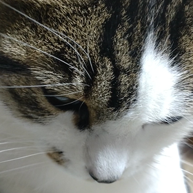 仕事の画像