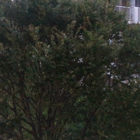 台風の画像
