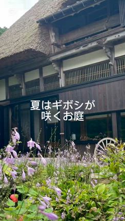 長治庵の家族の記事動画