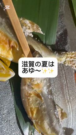 あゆの季節の記事動画