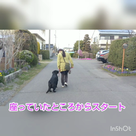 follow me    ついてきてねの画像