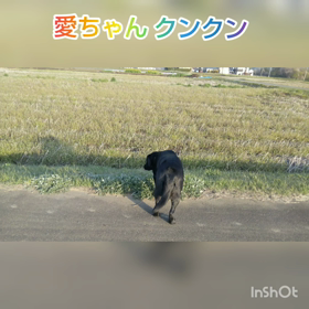 のる気じゃないのかな？の画像