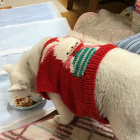 食べるかなあと思ったらの画像
