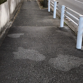 散歩の画像