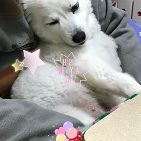 おやすみなさい❤の画像
