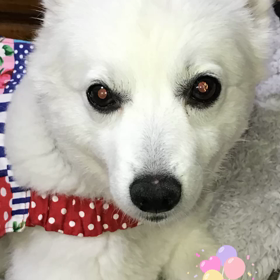 目が キラキラの画像