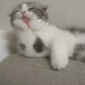 超〰️体調不良の画像