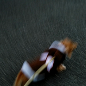最後はの画像
