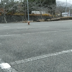 明けましての画像