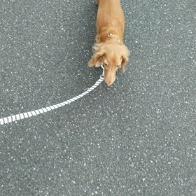 テッテケテ～の画像