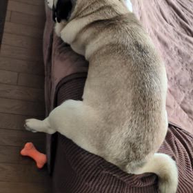 親父、平和について考えるの画像