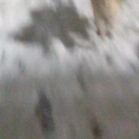 だけど行くんですの画像